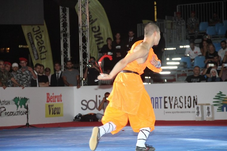 Martial Arts Festival